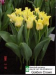 [golden crown 0204.JPG]